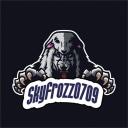 Serveur de Skyfrozz0709 Discord Server Icon