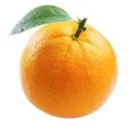 Orange Bot Community