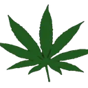 Swoopy coachella #legalize -it