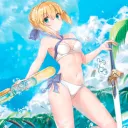 Fate Summer Paradise