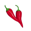 Chili-Discord