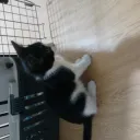 Solo para pros