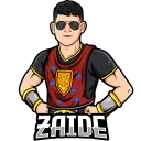 Zaide's Dojo