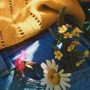 𝐁𝐞𝐥𝐥𝐚𝐝𝐨𝐧𝐧𝐚 Discord Server Icon