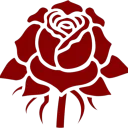 Yippie Rose