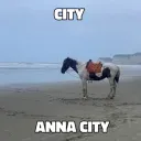 anna city