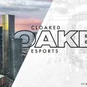 Cloaked Customs