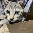Rumiハウス