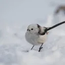 さぎょうばしょ