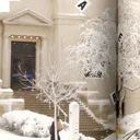 MCAD Winter Break Buddy Zone