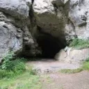 The Raccoon Cave