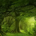 The Runes of Truth - Warriors RP