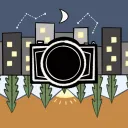 Through the Lens