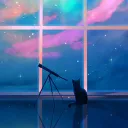 catnap collective