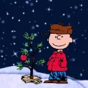 🎄cozy corner🎄's icon