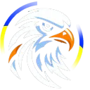 UnOfficial DCS Discord Server Icon