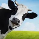 Valerie's Cows🐄