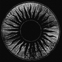 TOI-700 e Discord server icon