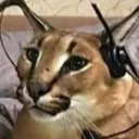 Сервер alex sad