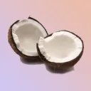 Coco's Tree