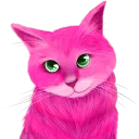 Kitty Trouble's server