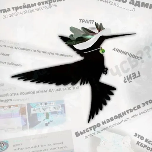 Minecraft Club — мониторинг Discord сервера, статистика и рейтинг