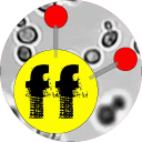 Fermenting Foods Discord Server Icon