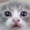 Creature League Gaming