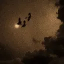 𝓣𝓱𝓮 𝓒𝓸𝓿𝓮𝓷