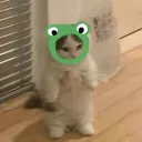 𝙵𝚛𝚞𝚒𝚝 𝙻𝚘𝚘𝚙 𝙶𝚊𝚗𝚐