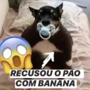 Cabaré do Predo