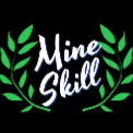 MineSkill | OFICIAL