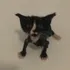 Ewiiias / GOLDN Discord