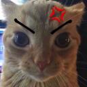 Butt Boys Bath House Discord Server Icon