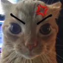 Butt Boys Bath House Discord Server Icon