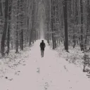 The Lost Wanderers