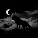 Wolfiii's Rudel