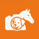 Tierfotografie DACH