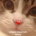 meow.