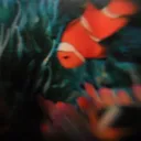 dream palace 夢の宮殿