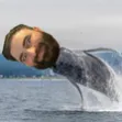 Tayfun | Community Discord