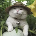 Emily's Garden