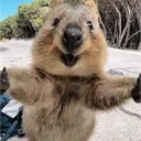 YouToube