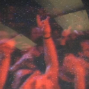 Ataraxia Server Icon