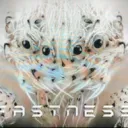 Fastness