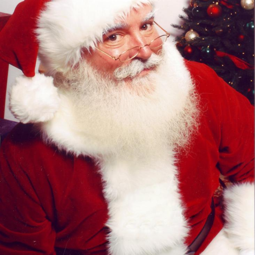 Logo for Email Santa Discord Bot Support