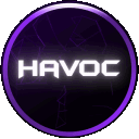 Havoc Ark No Wipe ASE | Steam