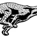 Cheetah Gaming Community 🏈🎮