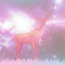 Zephyr Deer's server