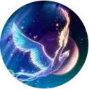 🙦 · Birb Cult · 🙦